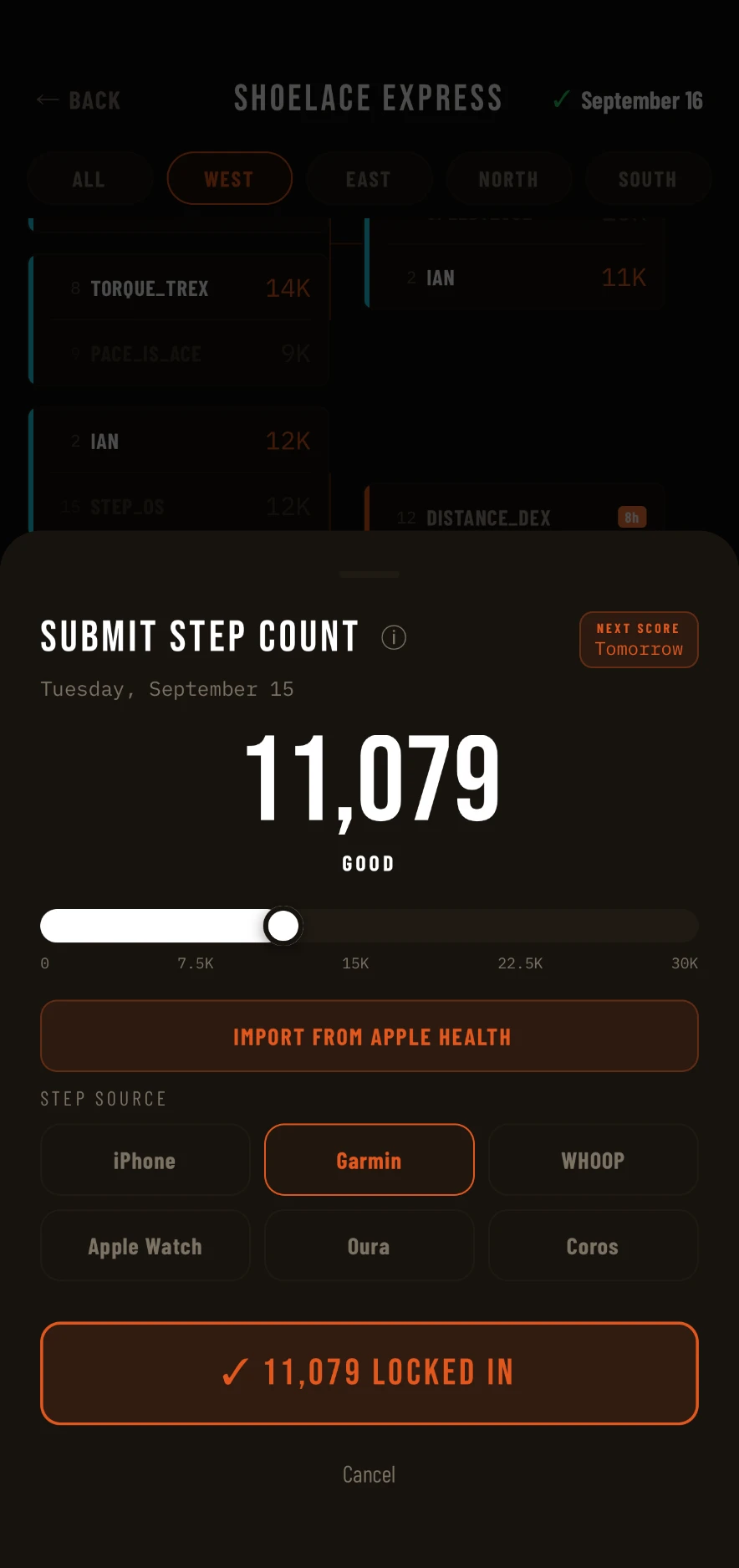 Step Team submit step count screen showing 11,079 steps locked in from Garmin